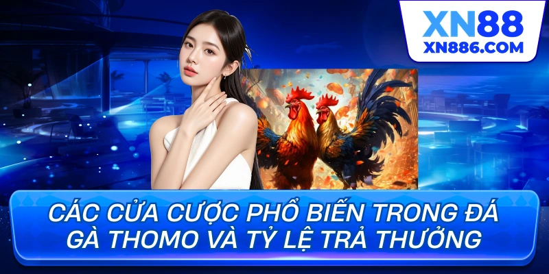 Các cửa cược phổ biến trong đá gà thomo và tỷ lệ trả thưởng