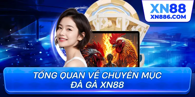 Tổng quan về chuyên mục đá gà XN88